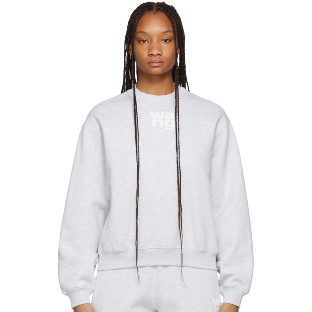 Alexander wang t Grey Terry Foundation Crewneck Sweatshirt XS